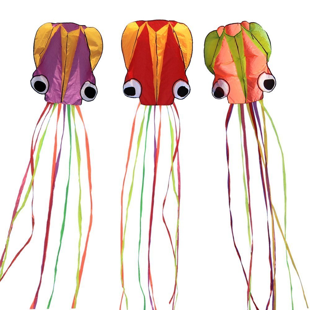 Hengda Kite-Beautiful Large Easy Flyer Kite for Kids
