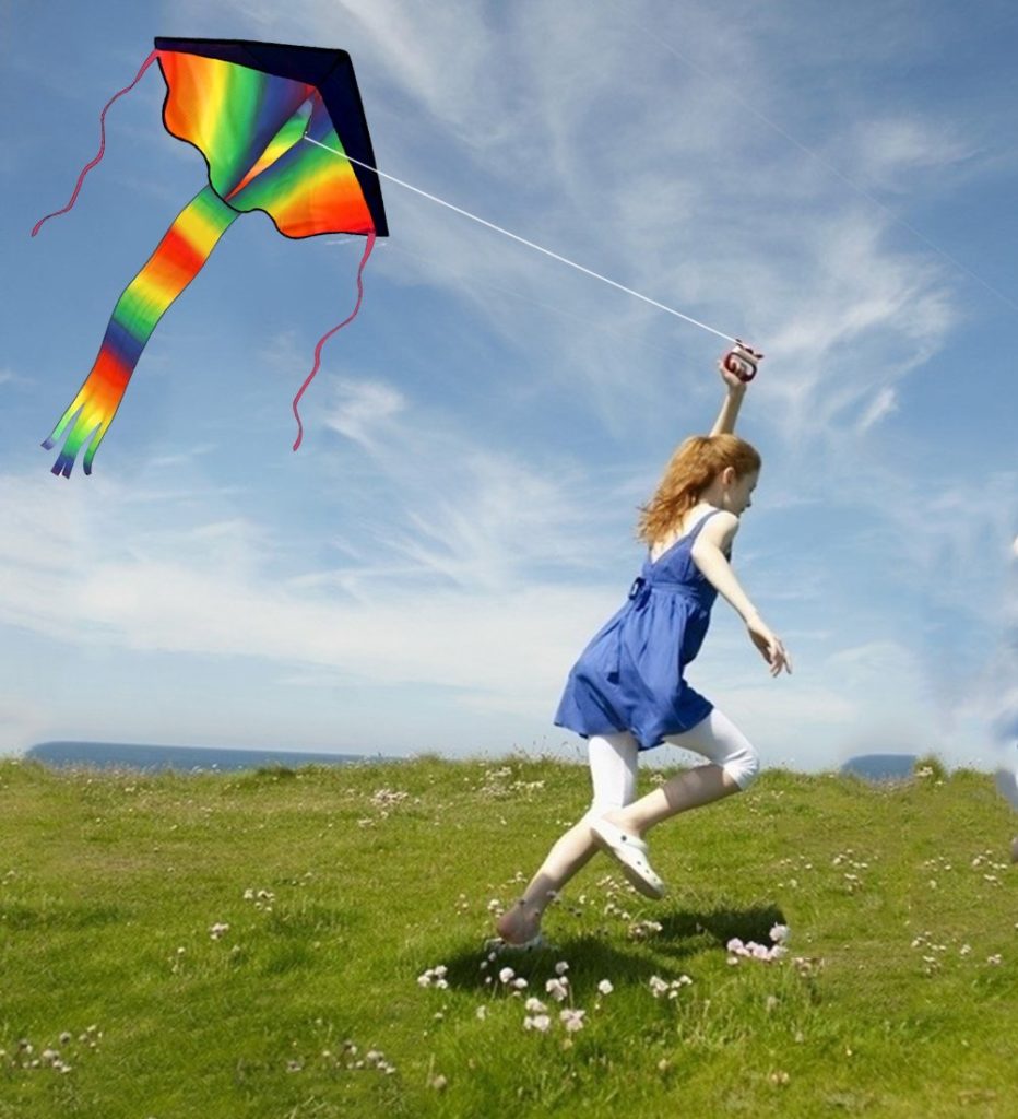 Want to let your child play with the kites? Let’s get the best one