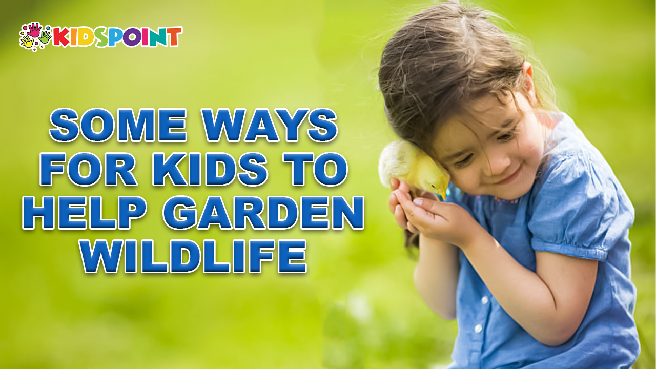Some Ways for Kids to Help Garden Wildlife