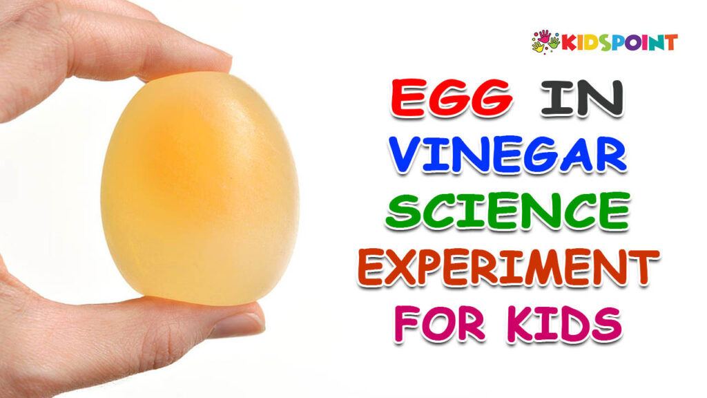 The Egg in Vinegar Science Experiment for Kids | The Kids Point