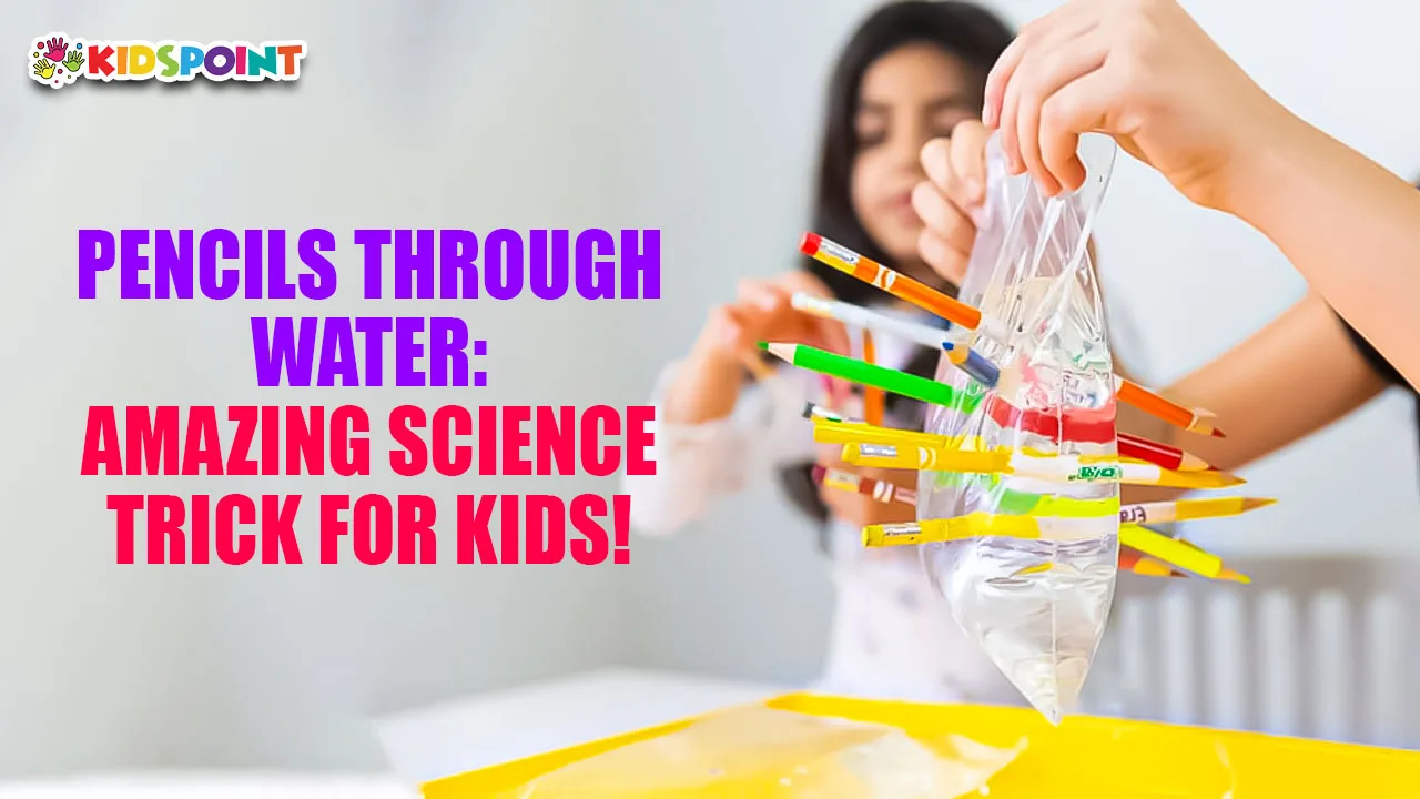 pencils through water amazing science trick for kids!