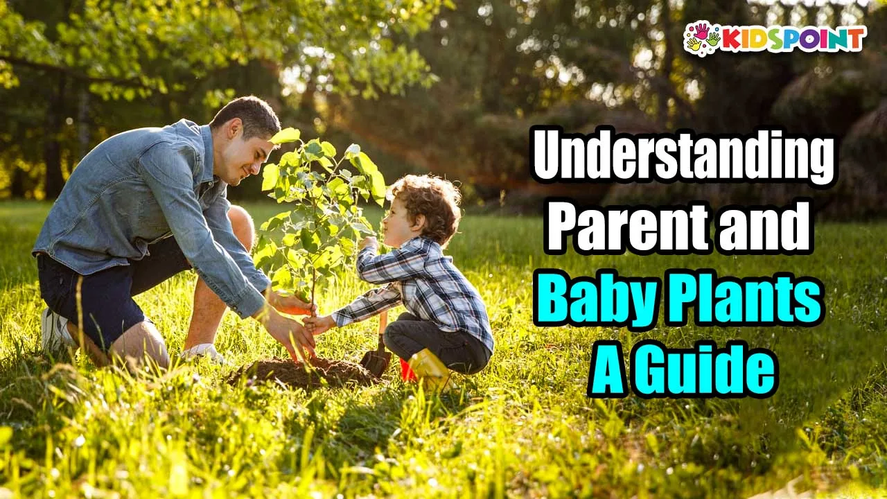 understanding parent and baby plants a guide