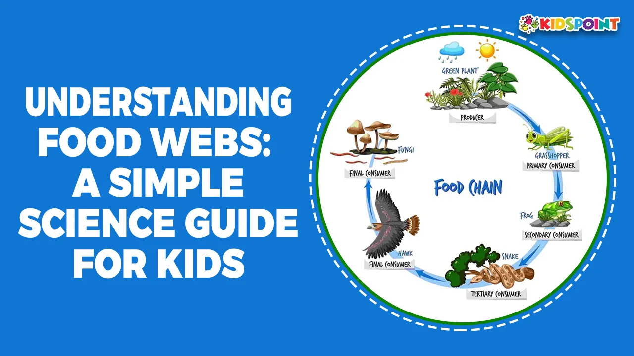 understanding food webs a simple science guide for kids