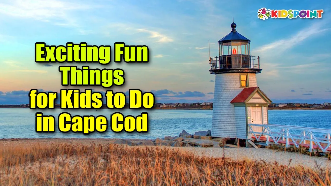 exciting fun things for kids to do in cape cod