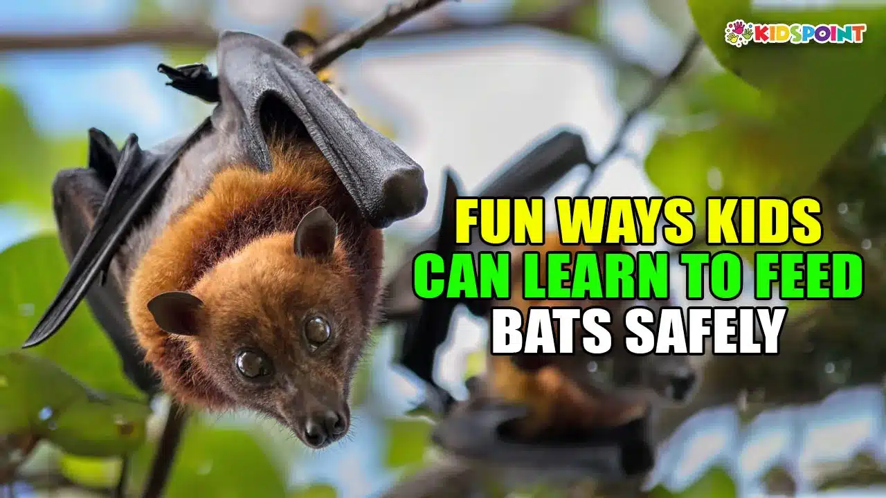 fun ways kids can learn to feed bats safely