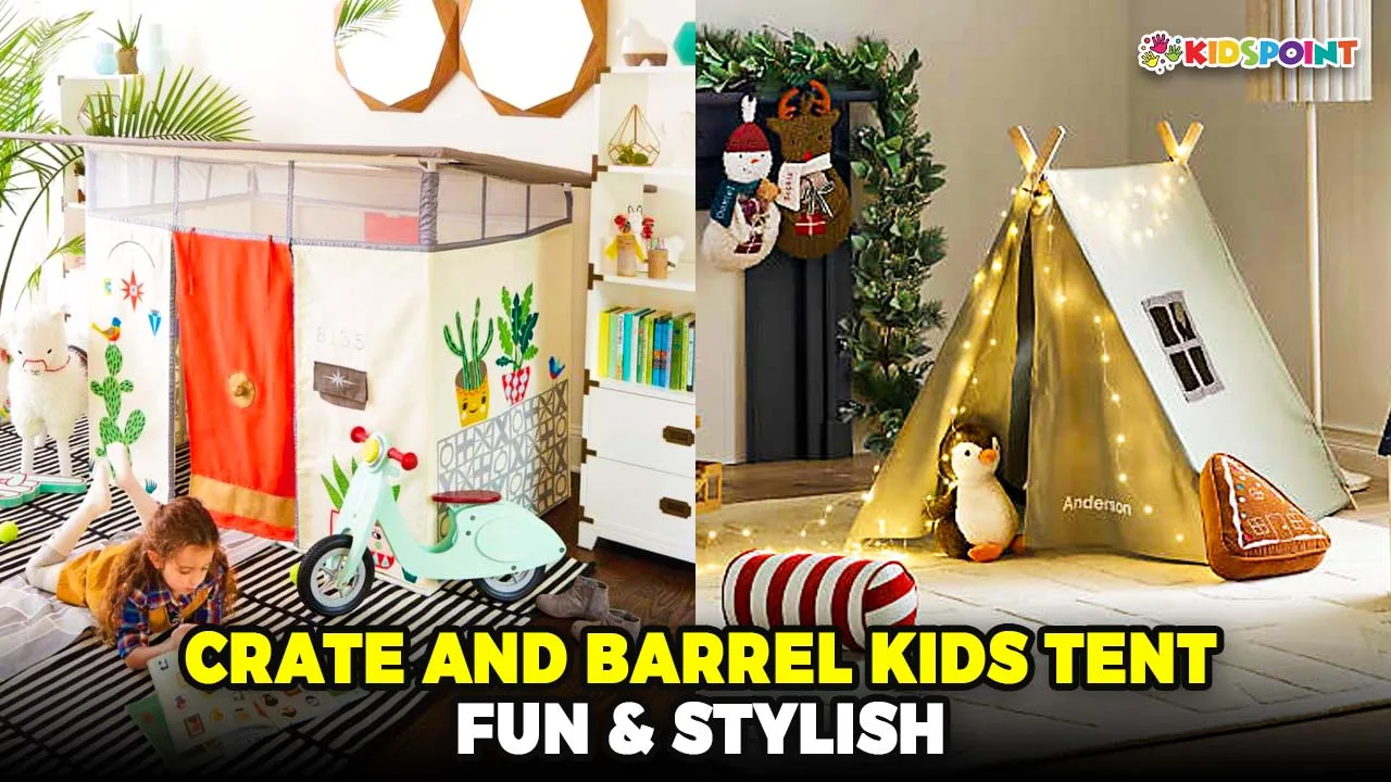 crate and barrel kids tent fun & stylish