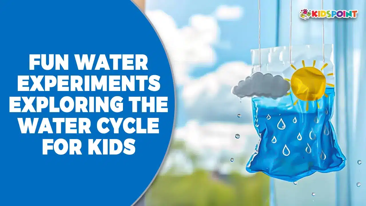 fun water experiments exploring the water cycle for kids