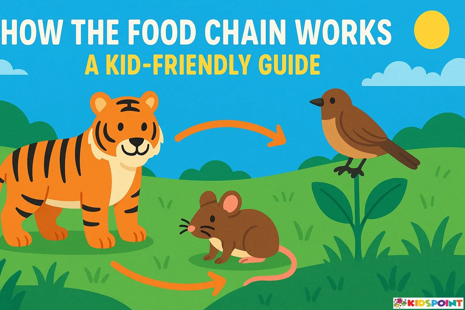 How the Food Chain Works: A Kid-Friendly Guide